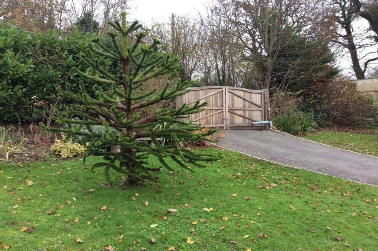 Longacre Bed and Breakfast Freshford Buitenkant foto