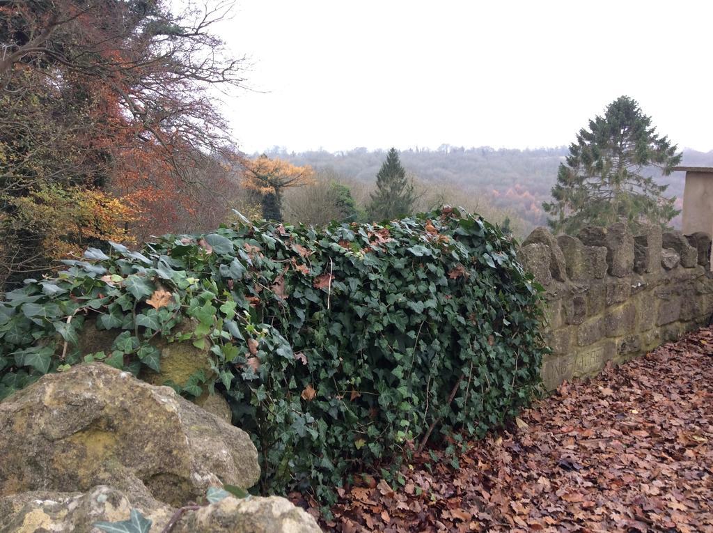 Longacre Bed and Breakfast Freshford Kamer foto